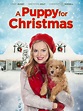 A Puppy for Christmas (2016) - Rotten Tomatoes