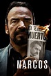 Ver Narcos (2015) Online Latino HD - Pelisplus