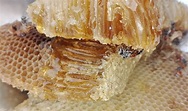 The difference between honeycomb & honey cone is a surprise - Honey Bee ...