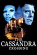 Poster rezolutie mare The Cassandra Crossing (1976) - Poster Podul ...