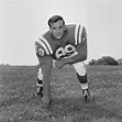 Gino Marchetti, Hall of Fame defensive end for the Baltimore Colts ...