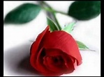 Esta Rosa Roja (Cancion que Dedico a nuestra Quinta Generacion) - YouTube