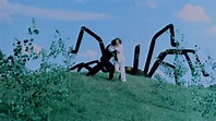 The Giant Spider Invasion (1975) | MUBI
