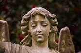 Statue Of Angel Face Free Stock Photo - Public Domain Pictures