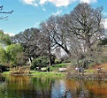 Cómo visitar REGENT´S PARK, jardines más bonitos de Londres | Viajar a ...