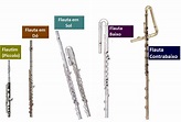 Flauta Transversal: Tudo o que Você precisa Saber | Blog Multisom