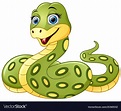 Cute green snake cartoon Royalty Free Vector Image