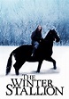 The Winter Stallion streaming: where to watch online?