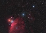 Orion's Belt - Astrodoc: Astrophotography by Ron Brecher