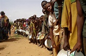 La faim dans le monde toujours en progression, déplore l’ONU - Le Soir