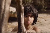 Ver Mowgli El Niño De La Selva - Noticias Niños