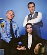 Hill Street Blues | Plot, Cast, Characters, & Facts | Britannica