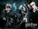 Harry Potter - Harry Potter Wallpaper (24330726) - Fanpop