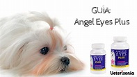 Guía Angel Eyes Plus Blanqueador Lagrimal Perro - Veterizonia