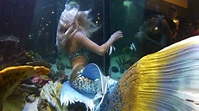 Hannah Fraser a mermaid in Cannes - YouTube