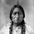 Toro Sentado, el último gran jefe de los sioux - Curiosidades de la ...