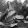 45 years ago today, a plane carrying the band Lynyrd Skynyrd crashed in ...