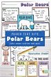 Polar Bears Reading Comprehension - First Grade Centers and More