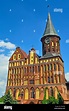 Koenigsberg Catedral - templo gótico del siglo XIV. Símbolo de ...