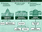 The Three Branches of the U.S. Government: Introduction