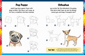 How To Draw A Realistic Dog Step By Step : Mark off the width and ...