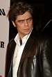 Benicio - Benicio del Toro Photo (428351) - Fanpop