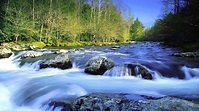 Free photo: Fast-Flowing River - Creek, Nature, River - Free Download ...