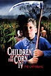 Watch Children of the Corn IV: The Gathering (1996) Online | Free Trial ...