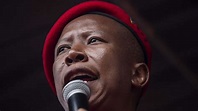Who is Julius Malema: Political history, career, childhood and facts