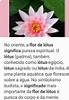 Andreas: Flor De Lotus O Que Significa