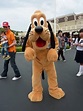 Pluto | Disney Parks Characters Wiki | Fandom