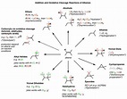 Synthesis (4) - Alkene Reaction Map, Including Alkyl Halide Reactions ...
