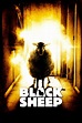 Black Sheep (2007) - Posters — The Movie Database (TMDB)