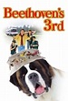 Beethoven's 3rd (2000) - Película Completa en Español Latino