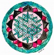 La Flor de la Vida Mandala ֎ significado y Beneficios 🌸