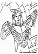 Dibujos para colorear de Spiderman | Peter Parker | Dibujos para cortar ...