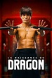 Birth of the Dragon (2017) - Posters — The Movie Database (TMDB)