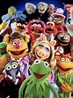 The Muppets (Franchise) - TV Tropes
