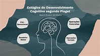 Estágios do Desenvolvimento Cognitivo segundo Piaget by Beatriz ...