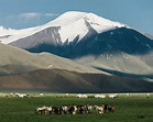 Western Mongolia - Travel Guide & Tips for your Journey