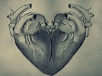 one heart two hearts stereotype - Buscar con Google | Human heart ...