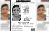 Cierra enero con 5 feminicidios; Elizabeth Ramírez, desaparecida en ...