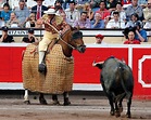 “Un picador debe conocer al toro y a sus encastes” - Aplausos.es