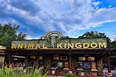 Animal Kingdom: Dicas para aproveitar ao máximo o parque