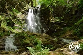Deutschlands schönster Wanderweg 2023 - HeimatSpur Wasserfall ...