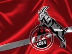 1. FC Köln #014 - Hintergrundbild