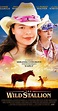 The Wild Stallion (2009) - IMDb
