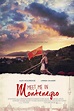 Meet Me in Montenegro - Rotten Tomatoes
