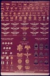 United States Army enlisted rank insignia of World War II - Wikipedia