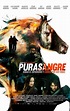 Purasangre - Película 2016 - SensaCine.com.mx